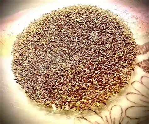 Jwano - Jwano Ko Jhol A Warming Ajwain Soup For Digestion Stgnx.