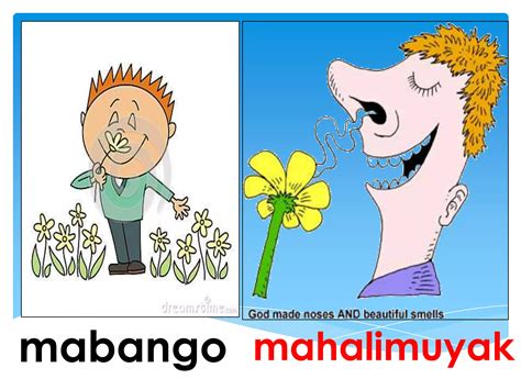 Mabango - Flower In The Night Mabango Whiteflowers For Today.